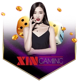 xin-gaming-1.webp